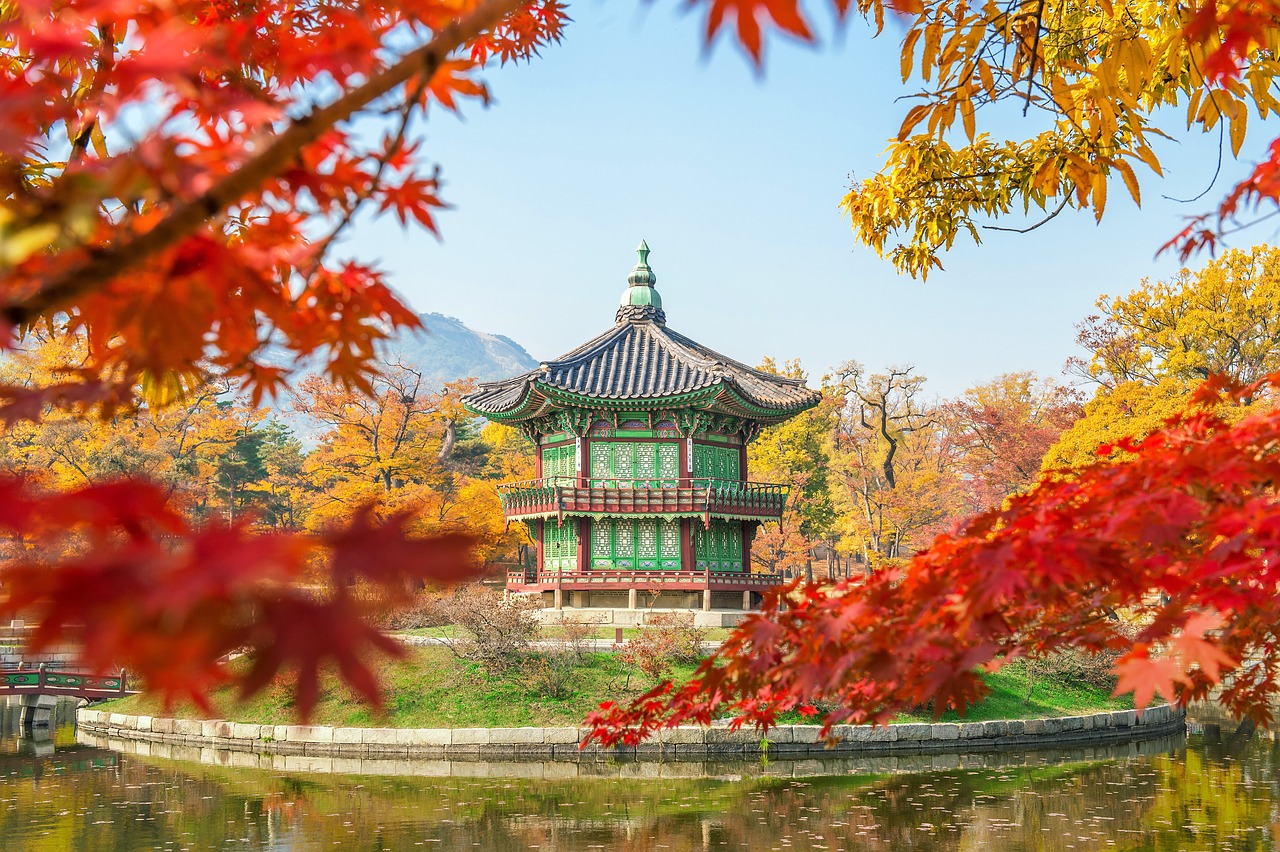korea, tree, gyeongbokgung, seoul, southkorea, maple leaves, leaf, soil, nature, sand